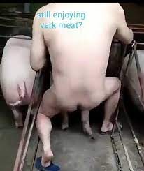 Porno gratuit zoophile, porno animal, couple zoophile, couple et chien, video porno zoophilie vous avez là, une vidéo porno animale entière où un couple corse prend du bon temps avec plusieurs chiens. Mec Baise Un Cochon