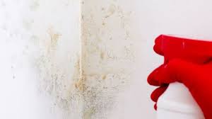 Comment Nettoyer Les Murs Avant De Peindre ? - Housekeeping Magazine :  Idées Décoration, Inspiration, Astuces & Tendances