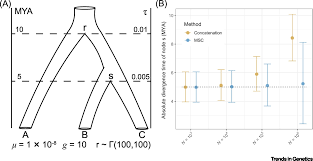 Let's say that you want find out how long it takes for an employee to complete an assembly line operation or a fast food order to be processed at peak hours. Molecular Clocks Without Rocks New Solutions For Old Problems Trends In Genetics