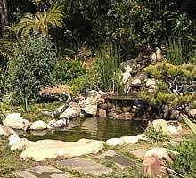 Maybe you would like to learn more about one of these? Los Angeles Koi Pond Installations Aquatic Gardens