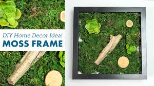 Diy Moss Frame Easy Home Decor Idea Balsacircle Com Youtube