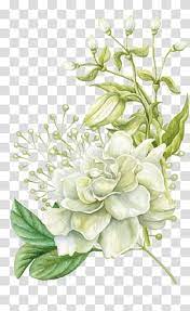 Watercolor Painting Floral Design Flower Hand Painted Watercolor Flowers White Rose Flower Painti Floral Painting Free Watercolor Flowers Flower Illustration