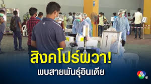 หมอยงชี้ ประเทยไทยยังไม่พบ โควิดสายพันธ์ุอินเดีย เบงกอล อัฟริกาใต้ บราซิล เผย ทั้ง 4 สายพันธุ์มีความสาสมารถหลบหลีกภูมิ. Lwzqyjttv Xv3m