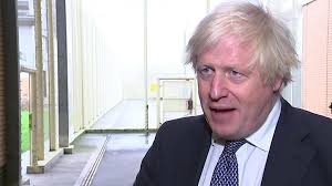 Boris Johnson authorised Afghan animal evacuation, leaked email suggests