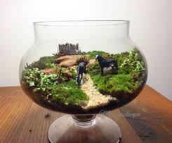 Pin By Bitunjacg Bitunjac Gordana On Terrarium Succulents Garden Terrarium Terrarium Miniature Garden