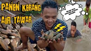 Vaname merupakan jenis udang yang sering dipakai untuk beragam jenis hidangan. 20 24 Mb Panen Kijing Kerang Air Tawar Auto Kenyang Download Lagu Mp3 Gratis Mp3 Dragon