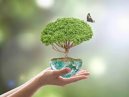 Fum, funingine, oxizi de sulf si de masurile de ameliorare a mediului sunt pentru: Servicii Mediu