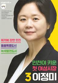Lee Jeong-mi (politician)