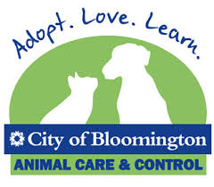 Bella is a cane corso and she's an angel. Pets For Adoption At Bloomington Animal Shelter In Bloomington In Petfinder