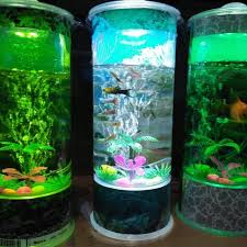 Anda bisa mendekorasi banyak hal untuk interior rumah, salah satunya adalah dengan menambahkan aquarium. Harga Aquarium Beragam Jenis Mulai Dari Rp30 Ribu Sampai Rp39 Juta