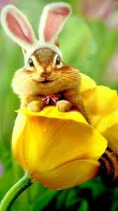 Easter Chipmunk Bunny Cuteness Cute Animals Baby Animals Animals