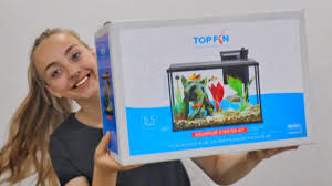 Pin On Betta Fish Tank Ideas