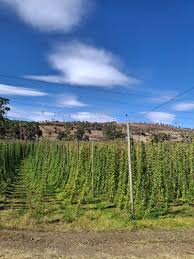 Invita Australia and New Zealand