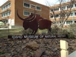 idaho museum of natural history in pocatello on the idaho state university campus visitidaho org pocatello natural history idaho