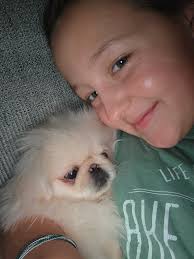 Best life jackets for dogs to wear kayaking