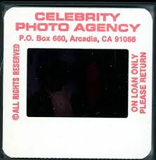 CHER LEZ, PENTHOUSE PET, PORN STAR.1995 35mm Color Slide Film Photo | eBay