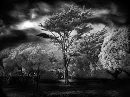 Hd to 4k quality, all for free! Beautiful Black And White Photography Smashing Magazine