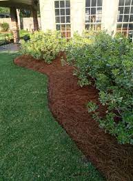 More Pine Straw Pine Straw Landscaping Lawn And Landscape Landscape Design