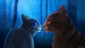 The official home of warrior cats by erin hunter. And No Man Is An Island Oh This I Knowbut Can T You See Maybe You Were The Ocean When I Was Just A Stone And I Warrior Cats Warrior Cat