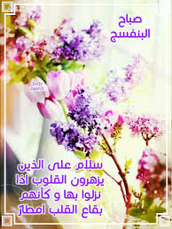 صباح البنفسج Beautiful Rose Flowers Morning Wish Morning Texts