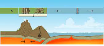 Gizmo plate tectonics answer key : Https Www Explorelearning Com Index Cfm Method Cresource Dspview Resourceid 446
