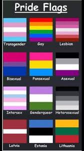 R/queervexillology has some cool redesigns sometimes. Pride Flags Album On Imgur