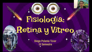 FISIOLOGÍA DE VÍTREO Y RETINA