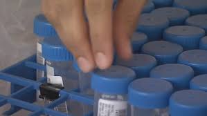 Avoid The Nasal Swab Covid 19 Saliva Testing Expands In Utah Kutv Official twitter page for the city of south jordan, ut. avoid the nasal swab covid 19 saliva