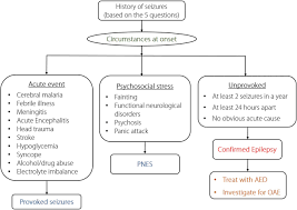 Epilepsy is a chronic disorder that causes unprovoked, recurrent seizures. Comprehensive Management Of Epilepsy In Onchocerciasis Endemic Areas Lessons Learnt From Community Based Surveys Infectious Diseases Of Poverty Full Text