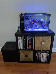 R2 S Fluval Evo 13 5 Aquarium Journals Nano Reef Community Saltwater Aquarium Saltwater Tank Fish Tank