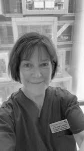 Anil Ustun's Instagram, Twitter & Facebook