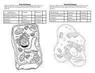 Check spelling or type a new query. Comparing Animal And Plant Cell Structure Materials Science