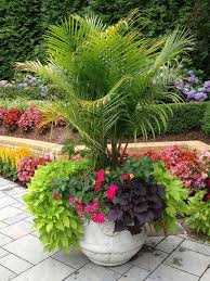 They can hold a lot of weight and are completely functional too. 60 Great Pool Landscaping Ideas Tropical Small Backyards Liplib Com Decor