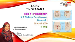 We did not find results for: Sains Tingkatan 1 Bab 4 Pembiakan 4 2 Sistem Pembiakan Manusia Youtube