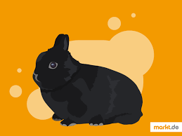 Ihre vollstände größe haben sie dann mit 8 oder 9 monaten erreicht. Farbenzwerge Charakter Haltung Aussehen Markt De