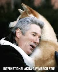 Akita World Fan Page