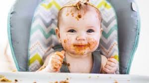 Maybe you would like to learn more about one of these? Alasan Protein Hewani Lebih Dibutuhkan Ketimbang Protein Nabati Saat 1 000 Hari Kehidupan Anak Warta Kota
