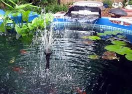Intex Pool For Pond Intex Pool Koi Pond Pool