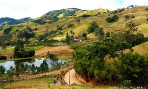 Britannica, the editors of encyclopaedia. Rio Claro 2020