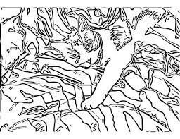 Realistic images of wild animals and mythical carousel favorites are more intricate. Coloring Page Animal Camouflage Coloring Pages Printable