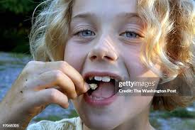 300 Linda Williamson Stock Photos, High-Res Pictures, and Images