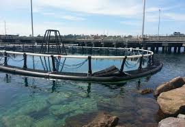 Kja Offshore Buatan Norwegia Rusak Dihantam Arus Pulau Sabang Panglima Laut Abaikan Saran Jayantara News