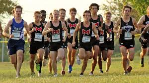 Image result for Brown 2021 Fleet