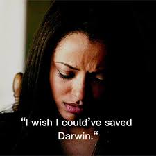 What Happened to Darwin Raj