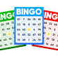 Kids Bingo Bash event image