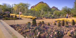 We didn't have any issues with the heat; Asla 2013 Professional Awards Ottosen Entry Garden Desert Botanical Garden