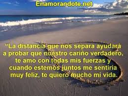 Pin De Frases De Amor Y Amistad En Videos De Frases De Amor Y Amistad Bellas Frases Frases Frases De Enamorados