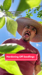 Toughening Up Seedlings for the Garden