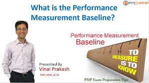 Inherited the element is aligned with the baseline of the parent. Performance Measurement Baseline For The Pmp Examination Pmchamp