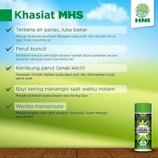 Minyak Herba Sinergi Hni Hpai Minyak Produk Buncit